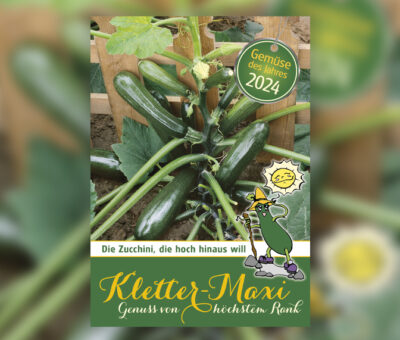 Klettermaxi - Gemüse des Jahres 2024
