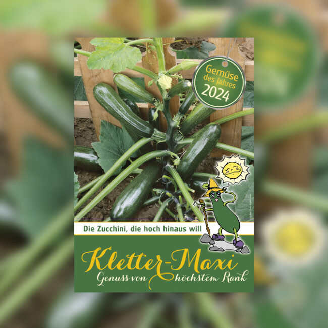 Klettermaxi - Gemüse des Jahres 2024
