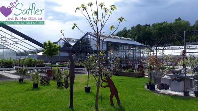 Traditionsgärtnerei Sattler 01_26 v1